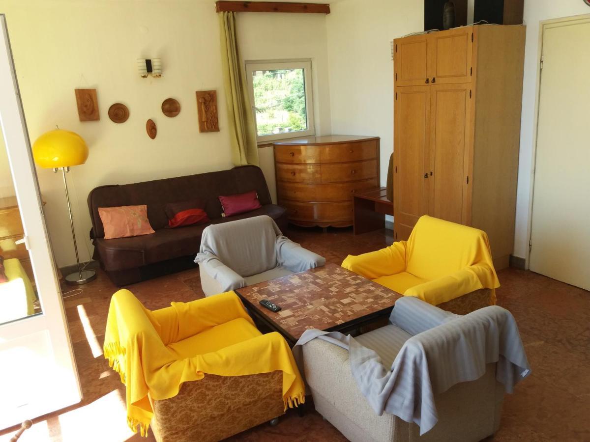 Badacsonyi Lugas Apartmanok باداتشونيتوماي المظهر الخارجي الصورة