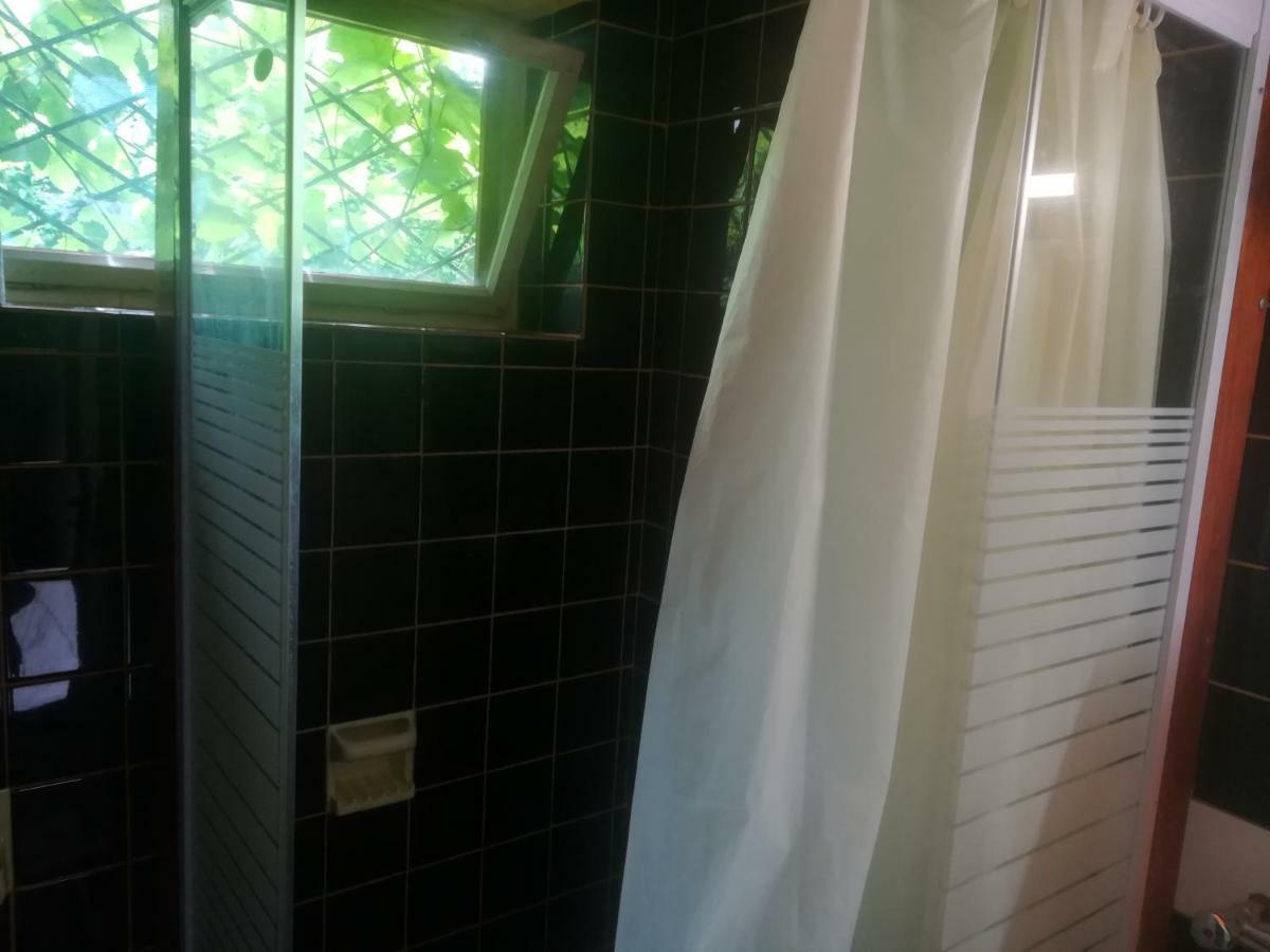 Badacsonyi Lugas Apartmanok باداتشونيتوماي المظهر الخارجي الصورة